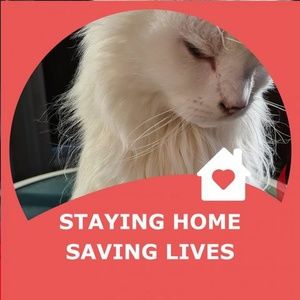 Meet your Posher, Ann-marie